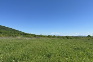 Земельна ділянка під житлову забудову в Холмеці, площа 25 соток фото 2