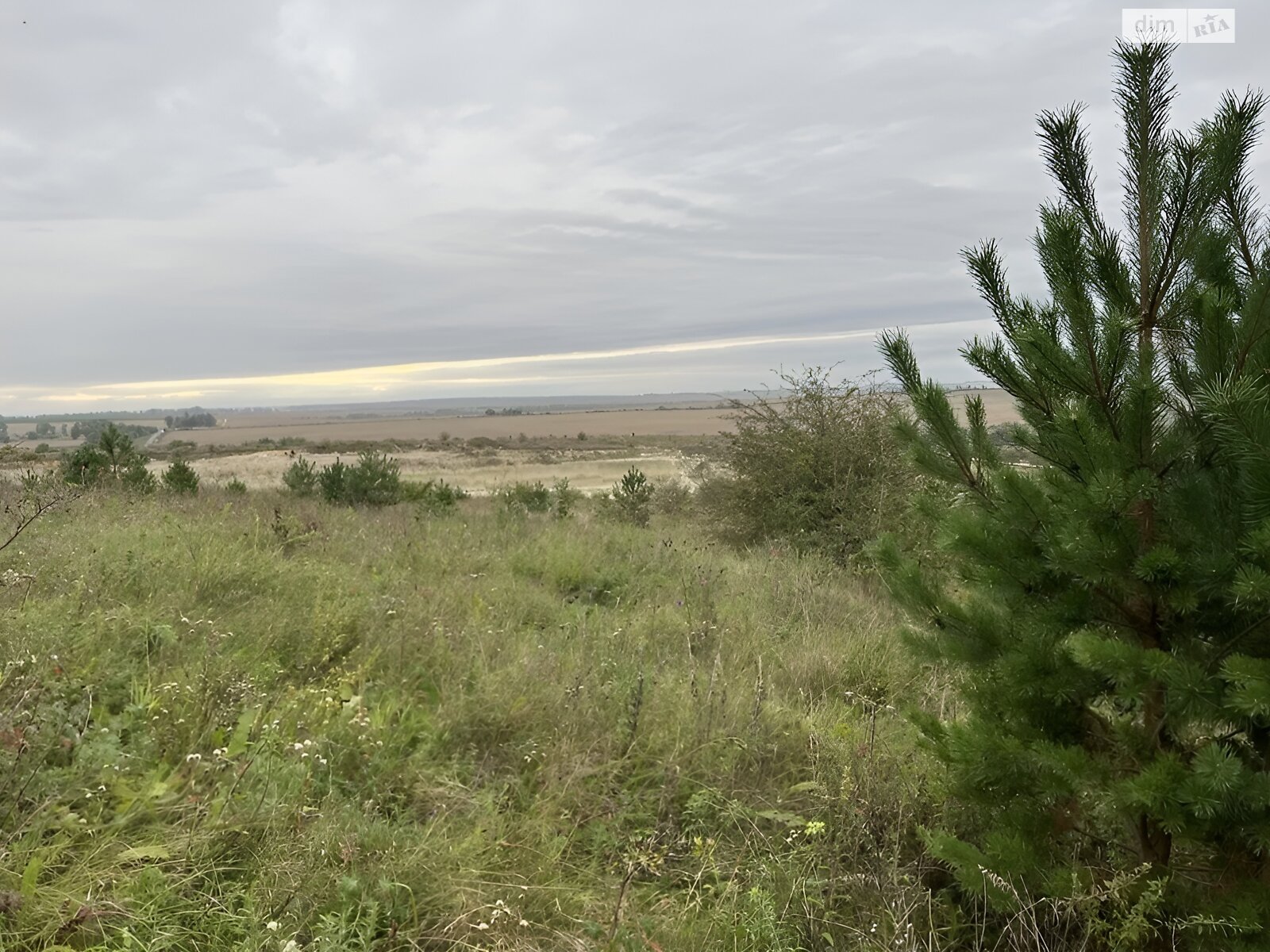 Земельна ділянка під житлову забудову в Хоросні, площа 0.1095 Га фото 1 Земельна ділянка під житлову забудову в Хоросні, площа 0.1095 Га фото 1