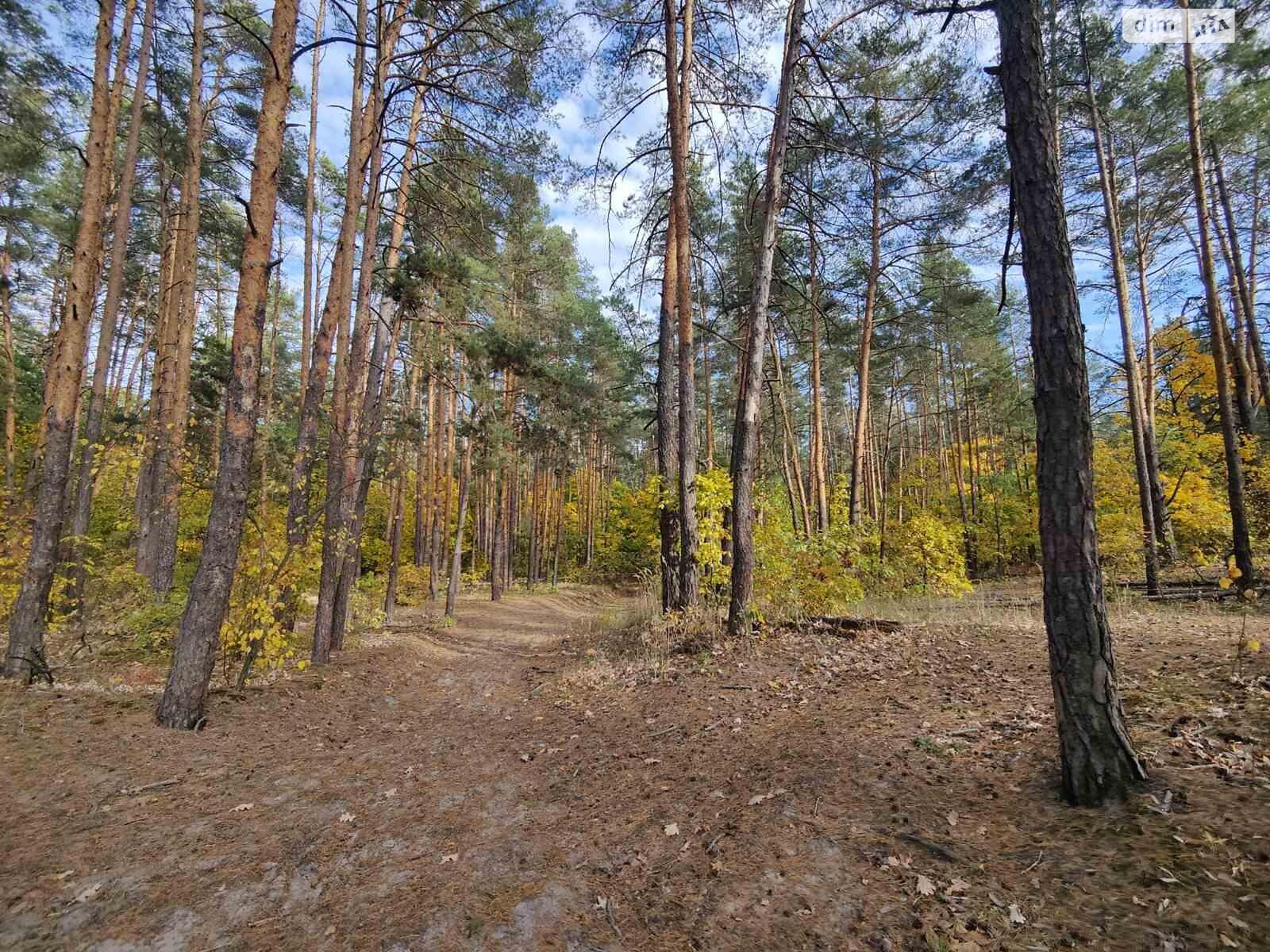 Земельный участок под жилую застройку в Хотове, площадь 18 соток фото 1