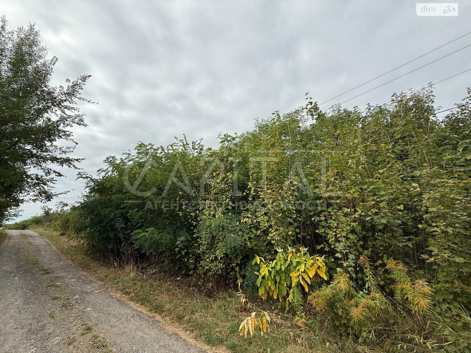 Земельный участок под жилую застройку в Хотове, площадь 26 соток фото 1