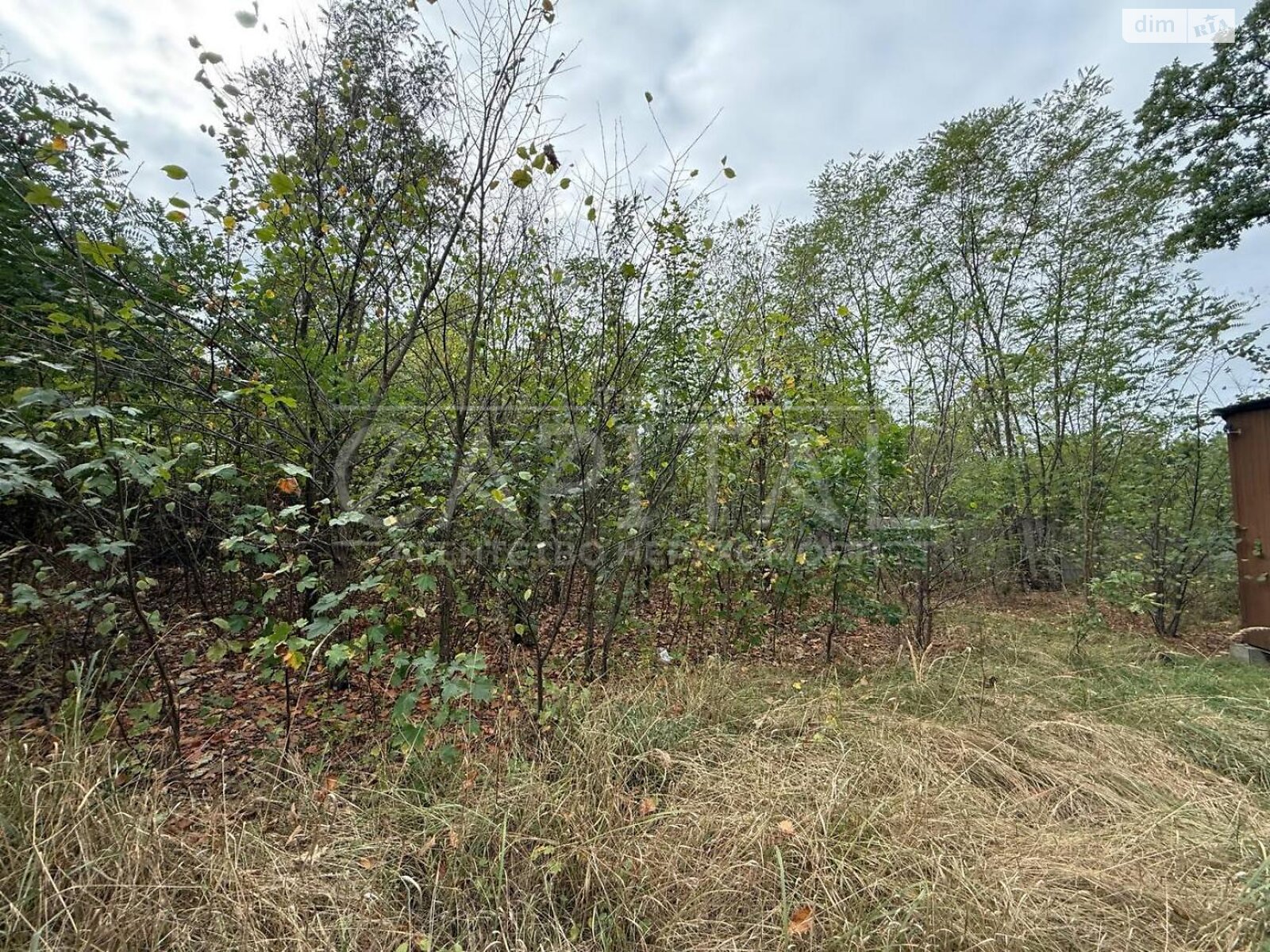 Земельный участок под жилую застройку в Хотове, площадь 26 соток фото 1