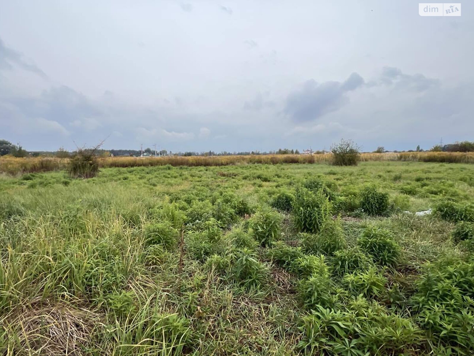 Земельный участок под жилую застройку в Хотяновке, площадь 10.31 сотки фото 1
