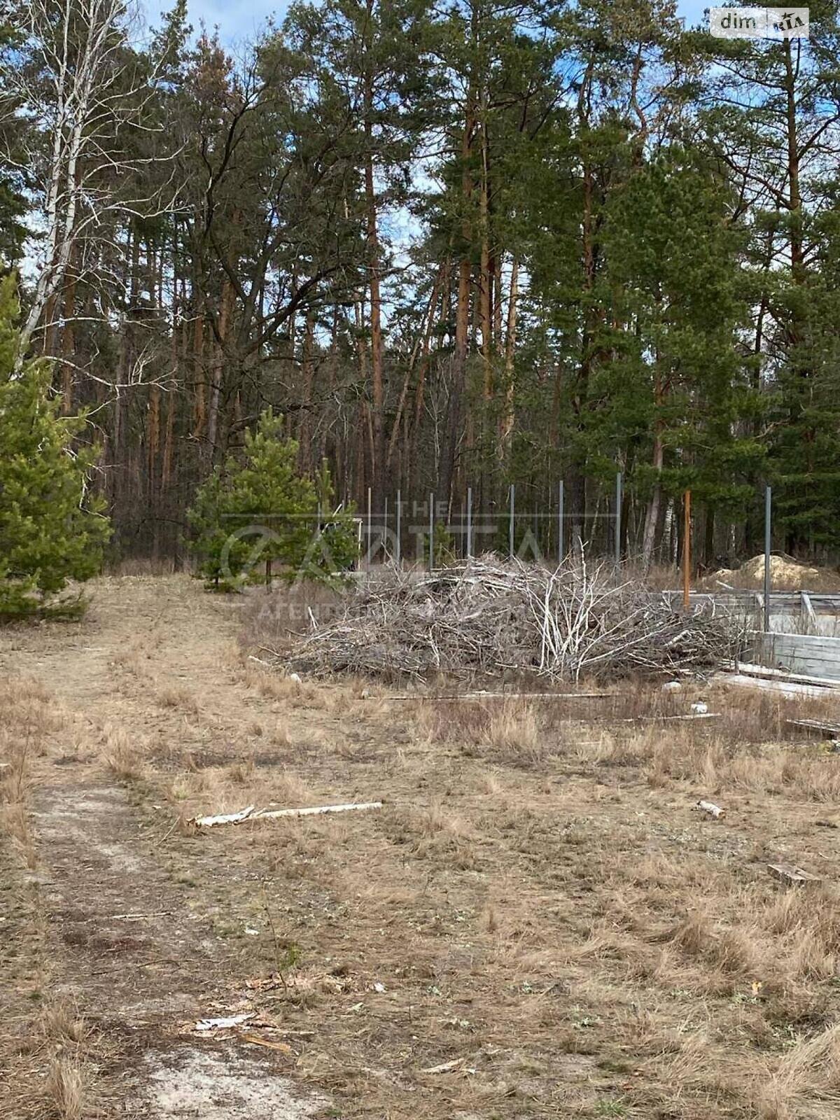 Земельна ділянка під житлову забудову в Хотянівці, площа 24 сотки фото 1