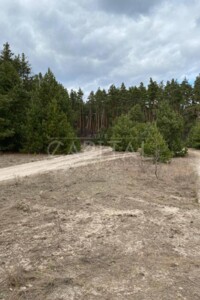 Земельна ділянка під житлову забудову в Хотянівці, площа 24 сотки фото 2