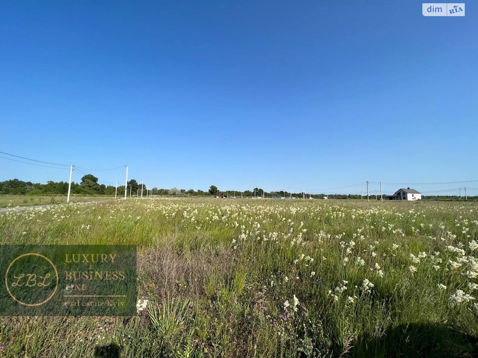 Земельна ділянка під житлову забудову в Хотянівці, площа 160 соток фото 1 Земельна ділянка під житлову забудову в Хотянівці, площа 160 соток фото 1