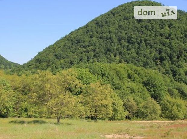 Земля под жилую застройку в селе Шаян, площадь 10 соток фото 1 Земля под жилую застройку в селе Шаян, площадь 10 соток фото 1