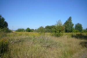 Земельный участок под жилую застройку в Ильинцах, площадь 10 соток фото 2