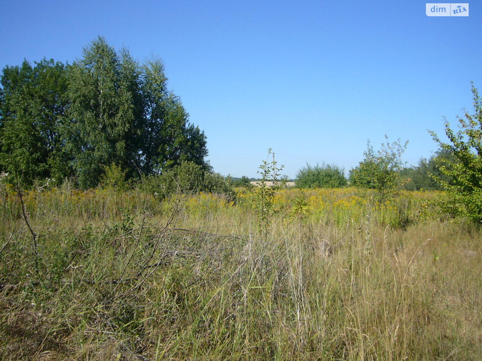 Земельный участок под жилую застройку в Ильинцах, площадь 10 соток фото 1