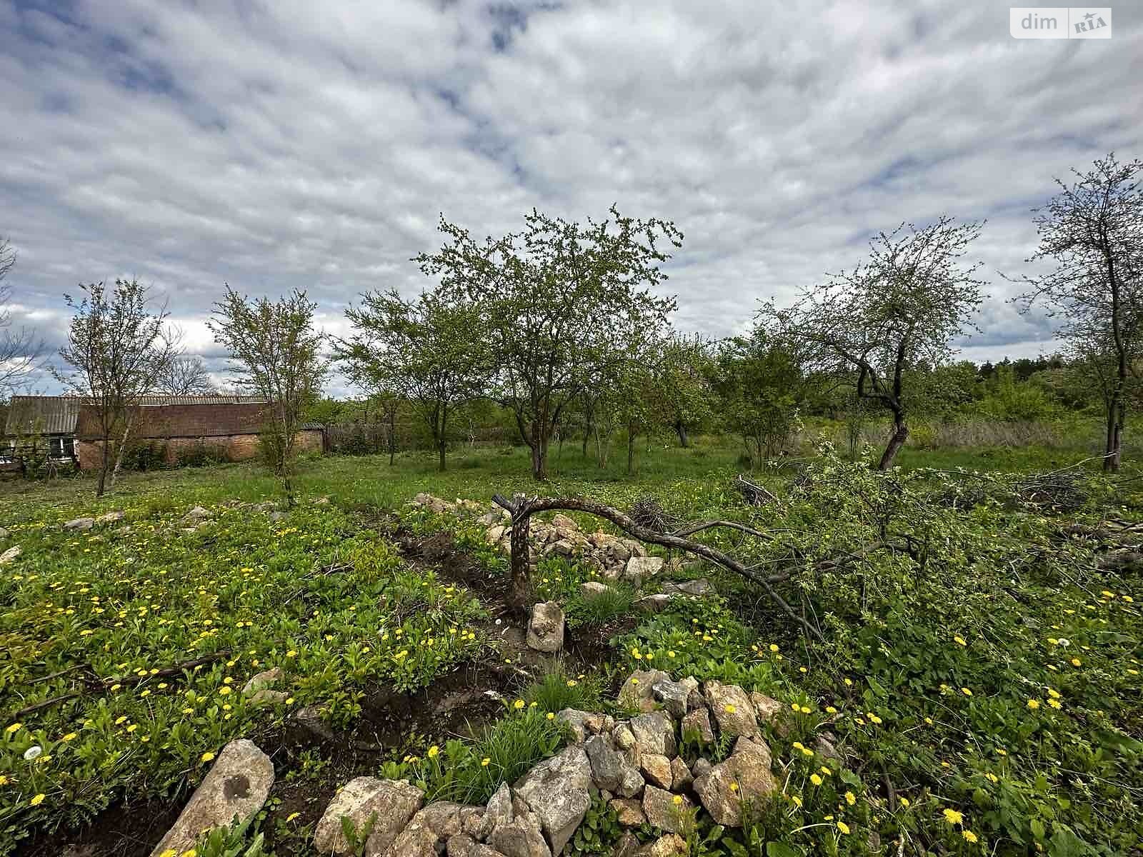 Земельна ділянка під житлову забудову в Ільківці, площа 32 сотки фото 1