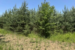 Земельный участок под жилую застройку в Ильковке, площадь 20 соток фото 2