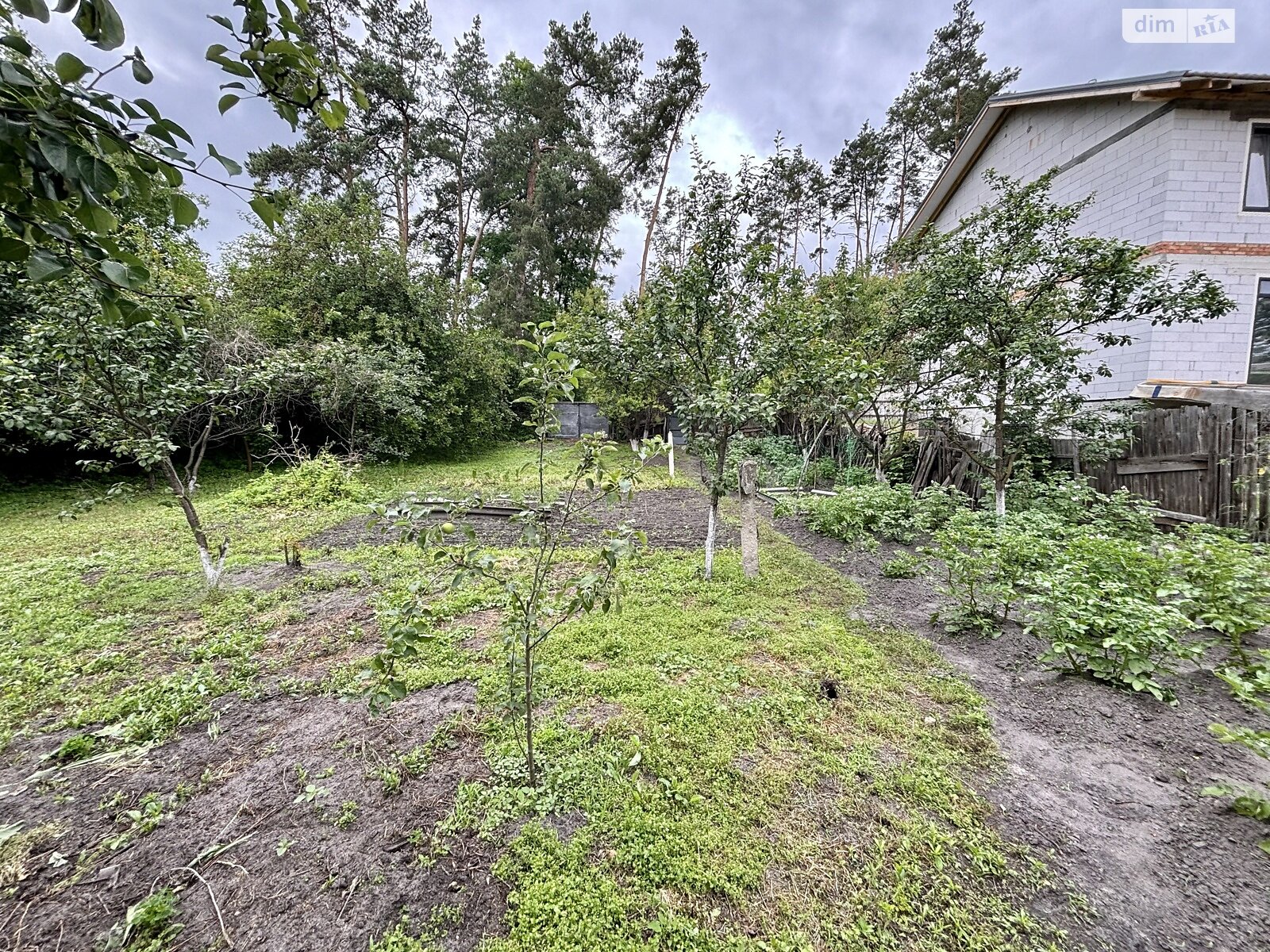 Земля под жилую застройку в Ирпене, район Ирпень, площадь 6 соток фото 1