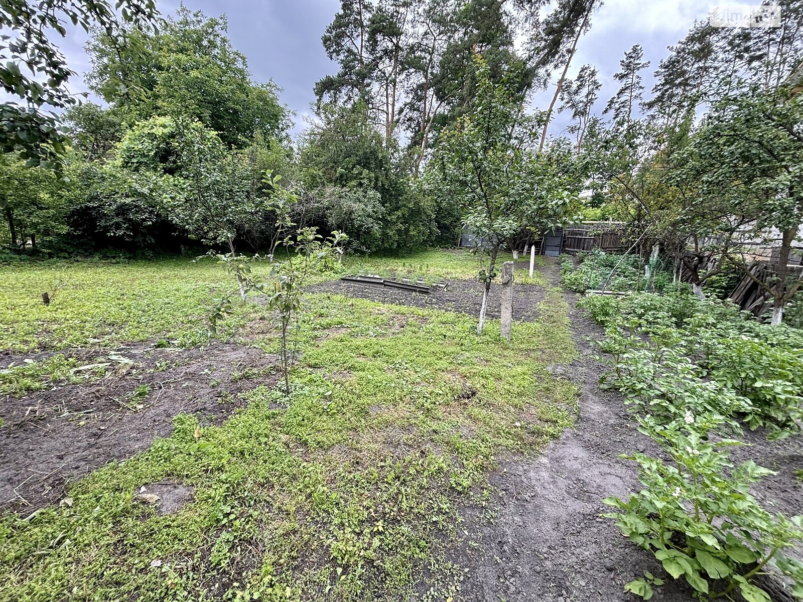 Земля под жилую застройку в Ирпене, район Ирпень, площадь 6 соток фото 1