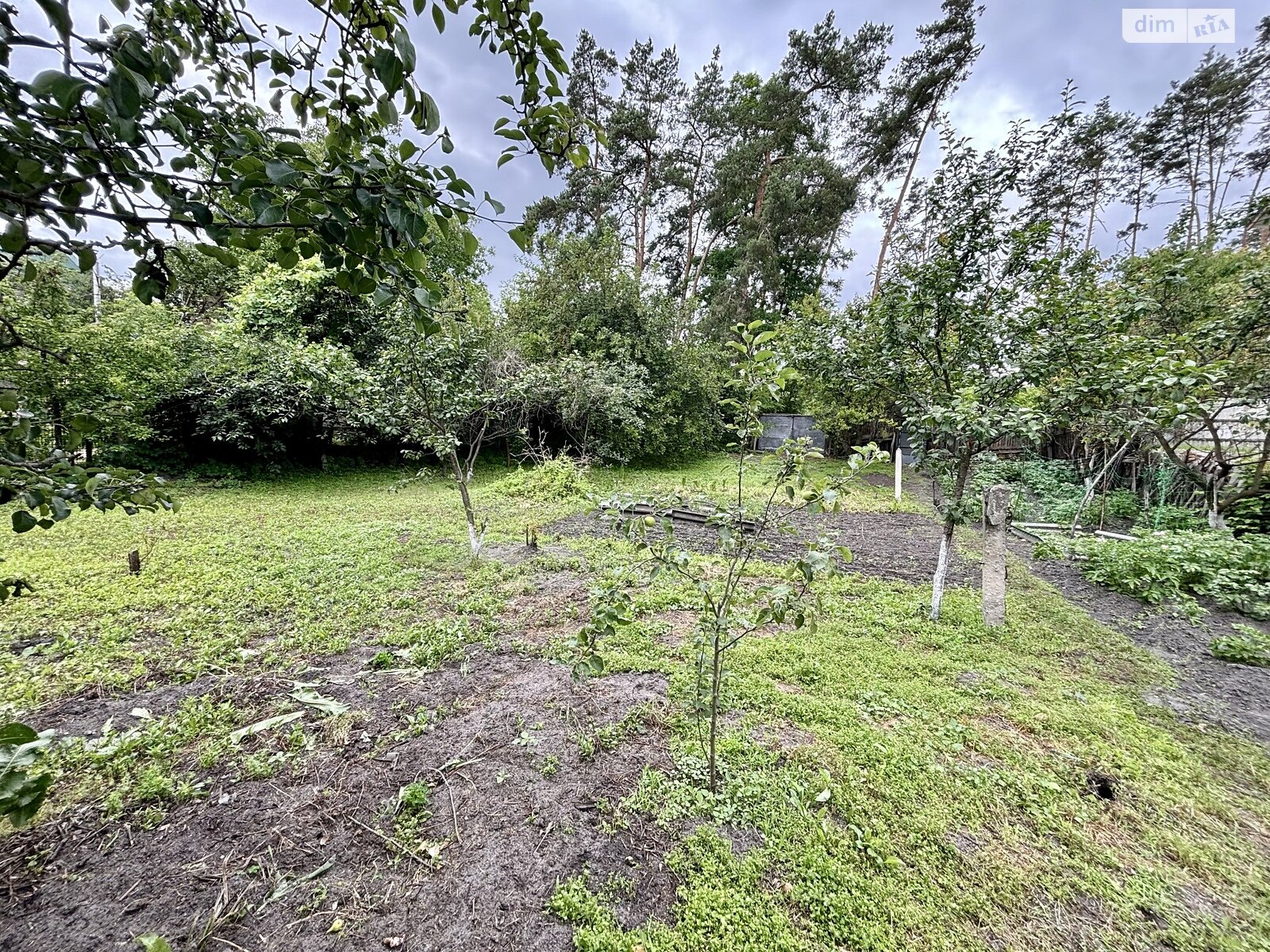 Земля под жилую застройку в Ирпене, район Ирпень, площадь 6 соток фото 1