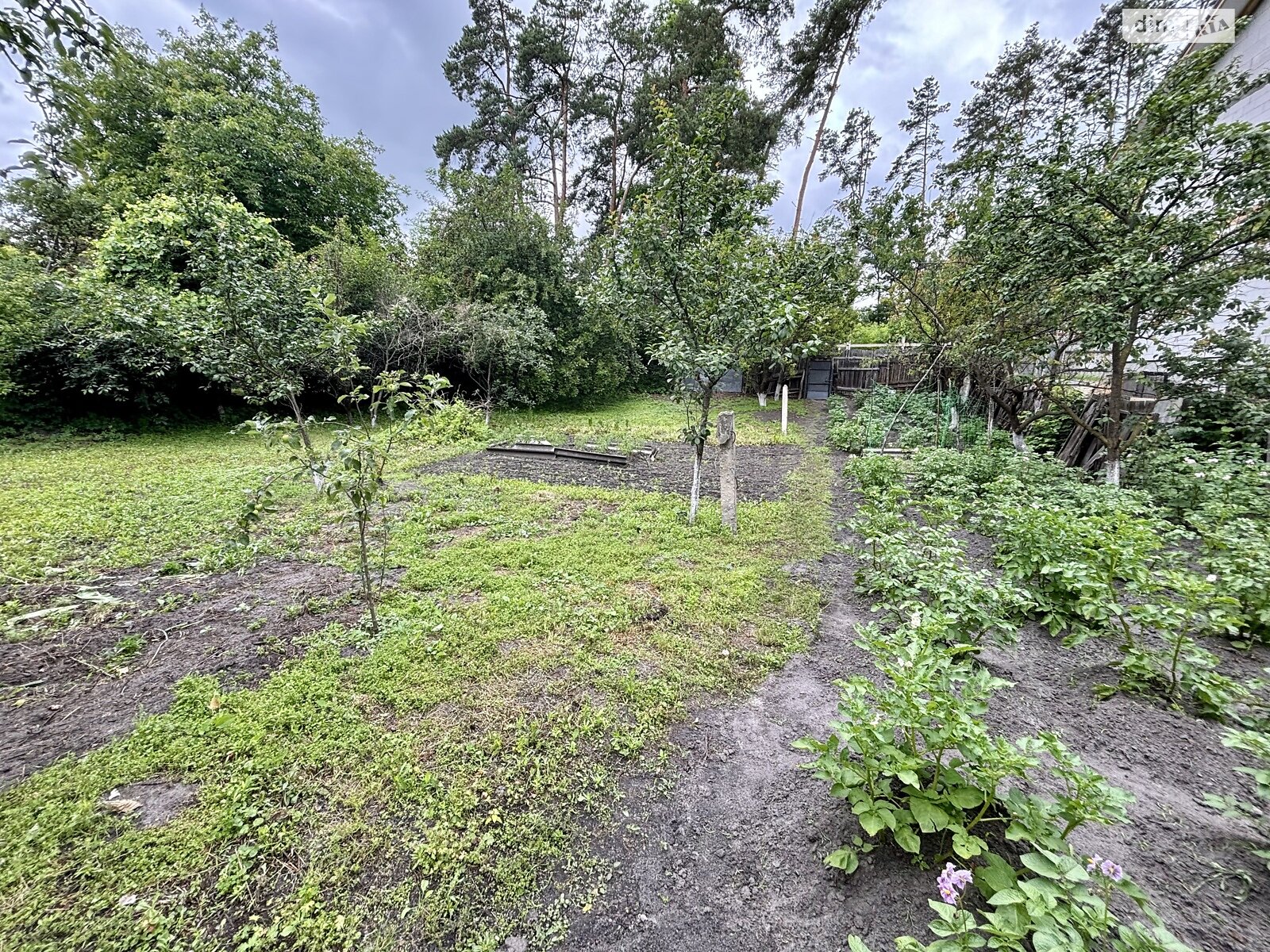 Земля под жилую застройку в Ирпене, район Ирпень, площадь 6 соток фото 1