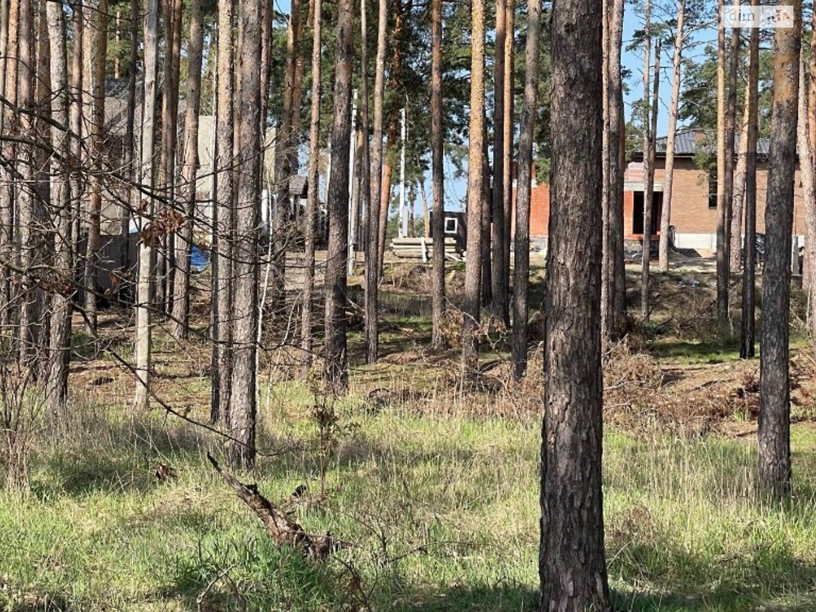 Земля під житлову забудову в Ірпені, район Ірпінь, площа 100 соток фото 1