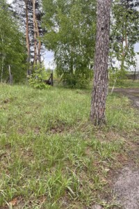Земля під житлову забудову в Ірпені, район Ірпінь, площа 5 соток фото 2