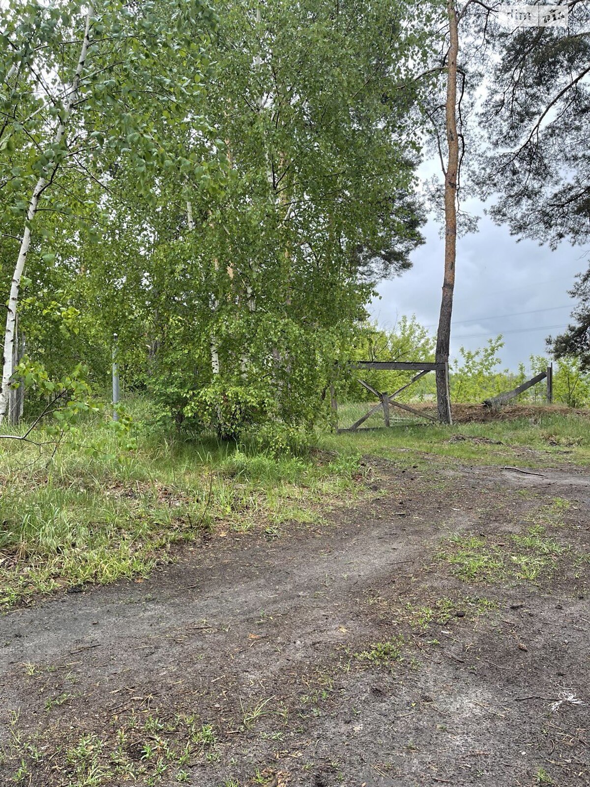 Земля под жилую застройку в Ирпене, район Ирпень, площадь 5 соток фото 1 Земля под жилую застройку в Ирпене, район Ирпень, площадь 5 соток фото 1