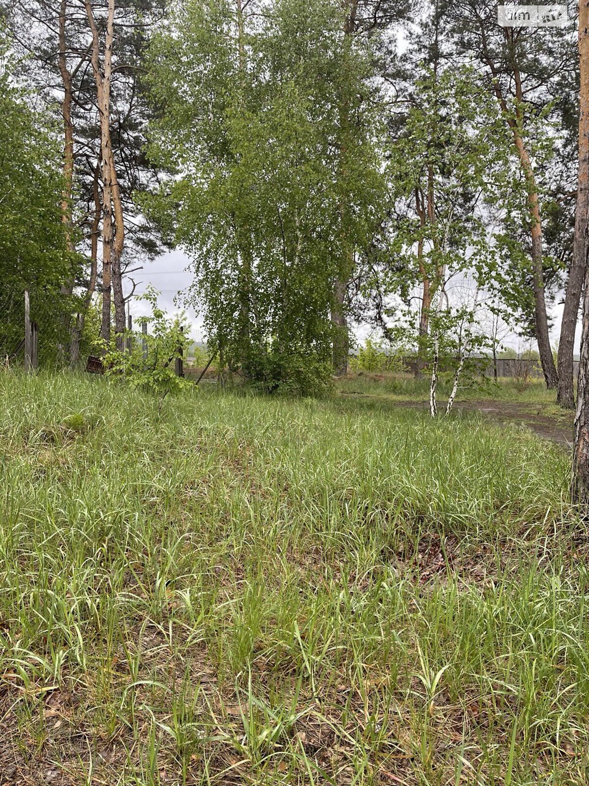 Земля под жилую застройку в Ирпене, район Ирпень, площадь 5 соток фото 1 Земля под жилую застройку в Ирпене, район Ирпень, площадь 5 соток фото 1