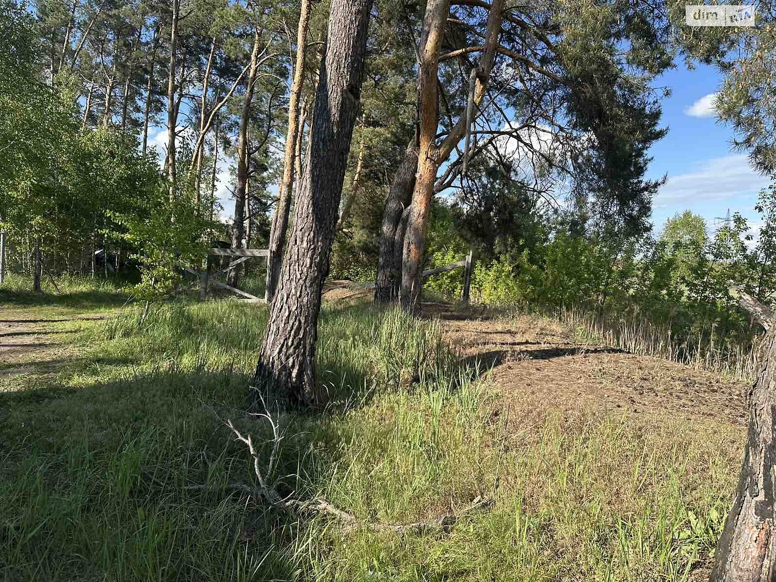 Земля під житлову забудову в Ірпені, район Ірпінь, площа 4 сотки фото 1 Земля під житлову забудову в Ірпені, район Ірпінь, площа 4 сотки фото 1