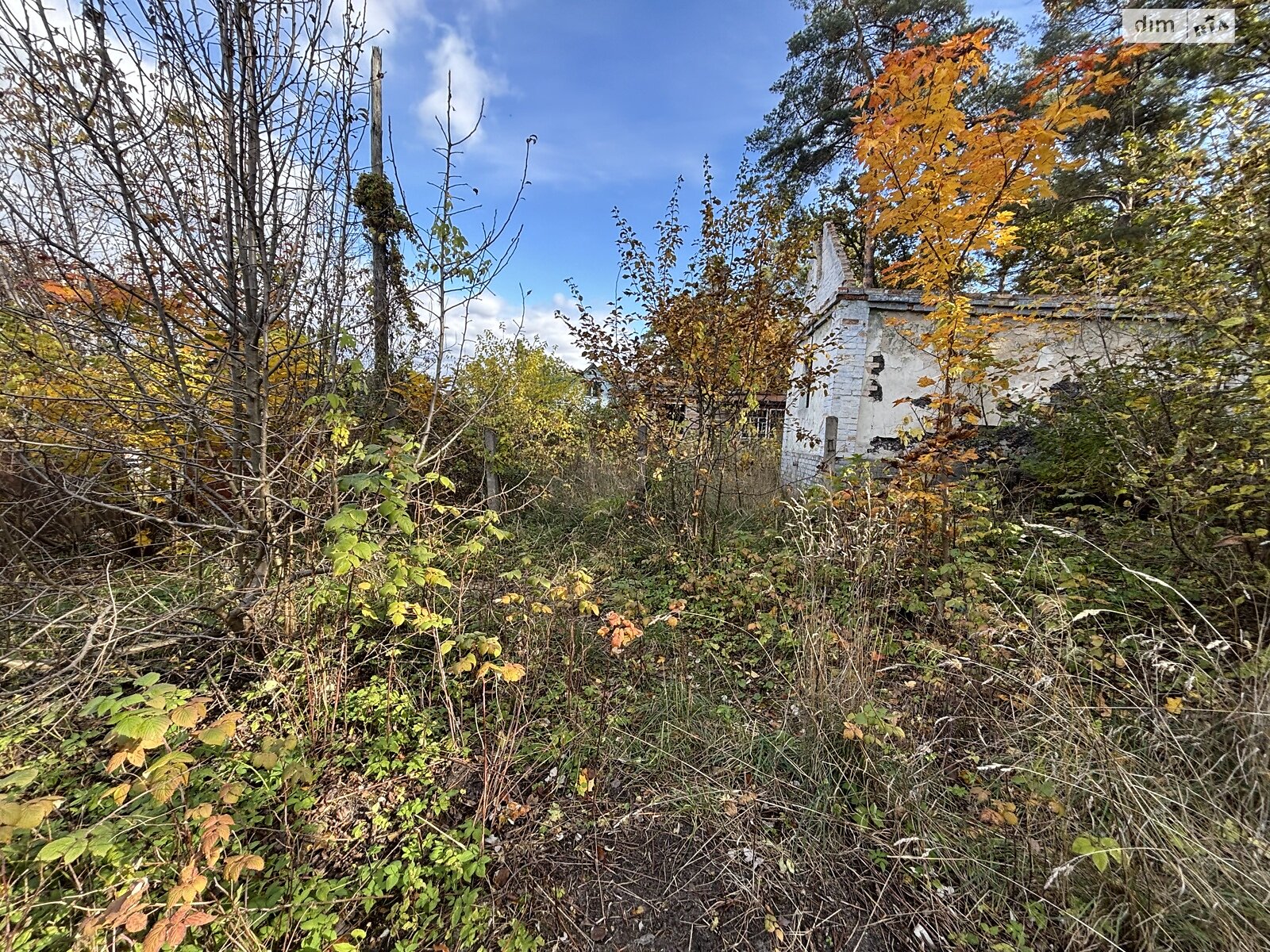 Земля под жилую застройку в Ирпене, район Ирпень, площадь 13 соток фото 1