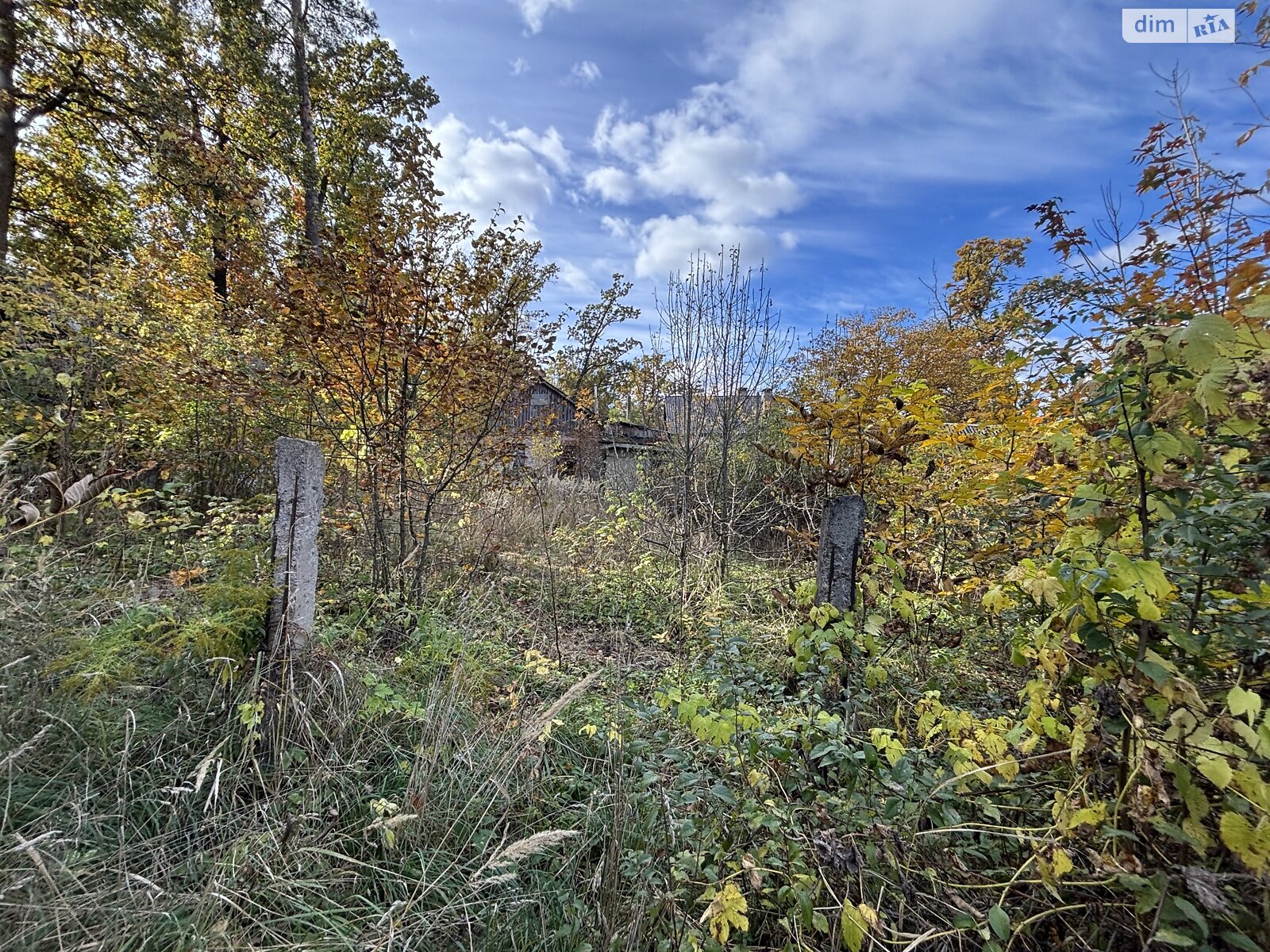 Земля под жилую застройку в Ирпене, район Ирпень, площадь 13 соток фото 1