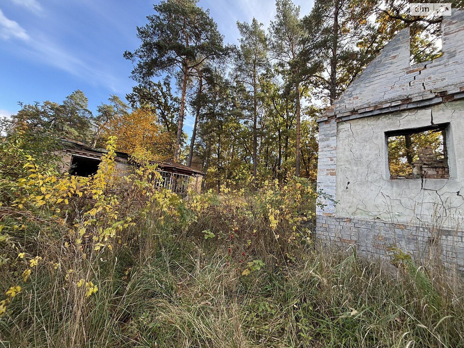 Земля под жилую застройку в Ирпене, район Ирпень, площадь 13 соток фото 1