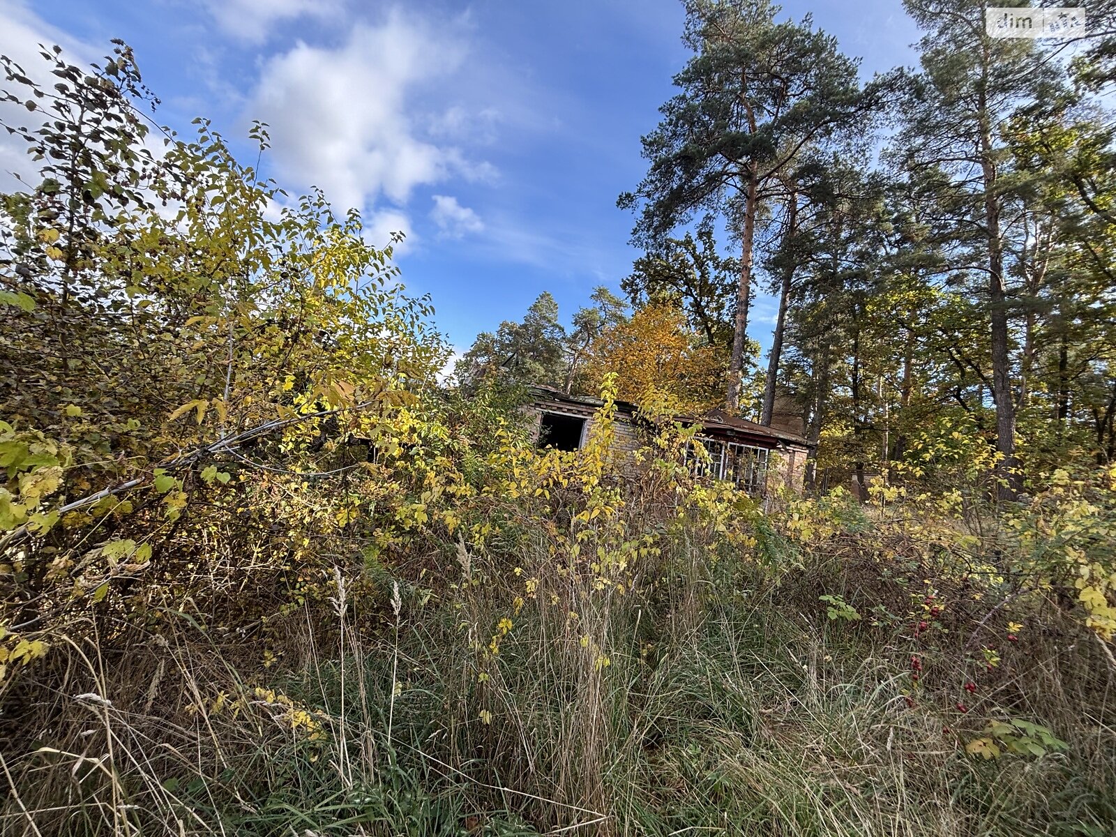 Земля под жилую застройку в Ирпене, район Ирпень, площадь 13 соток фото 1