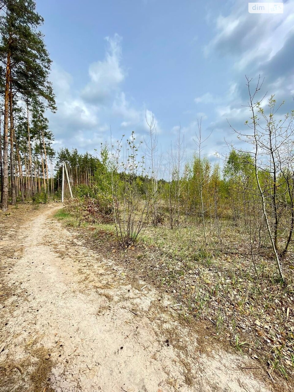 Земля під житлову забудову в Ірпені, район Ірпінь, площа 12 соток фото 1