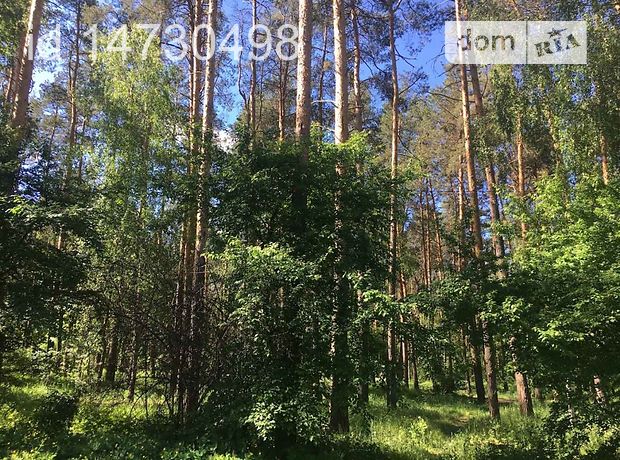 Продажа участка под жилую застройку, Киевская, Ирпень, р‑н. Ирпень Продажа участка под жилую застройку, Киевская, Ирпень, р‑н. Ирпень