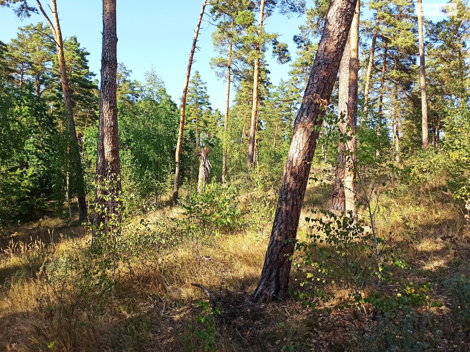 Земельный участок под жилую застройку в Ирпене, площадь 10 соток фото 1 Земельный участок под жилую застройку в Ирпене, площадь 10 соток фото 1