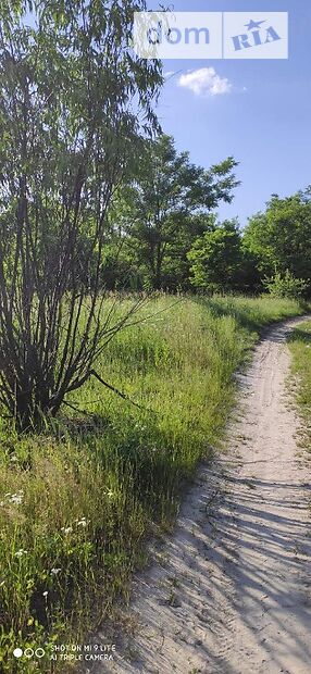 Земля под жилую застройку в селе Михайловка-Рубежовка, площадь 12 соток фото 1 Земля под жилую застройку в селе Михайловка-Рубежовка, площадь 12 соток фото 1