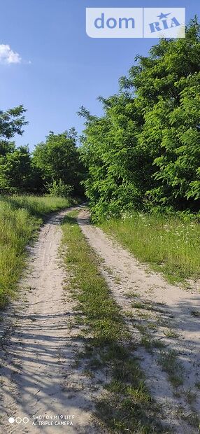 Земля под жилую застройку в селе Михайловка-Рубежовка, площадь 40 соток фото 1 Земля под жилую застройку в селе Михайловка-Рубежовка, площадь 40 соток фото 1