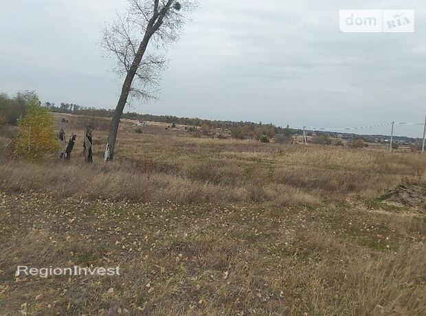 Земля под жилую застройку в селе Михайловка-Рубежовка, площадь 40 соток фото 1 Земля под жилую застройку в селе Михайловка-Рубежовка, площадь 40 соток фото 1