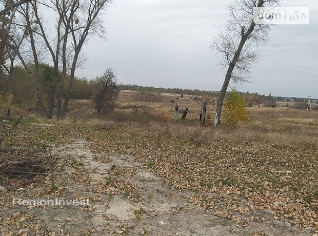Земля под жилую застройку в селе Михайловка-Рубежовка, площадь 40 соток фото 1 Земля под жилую застройку в селе Михайловка-Рубежовка, площадь 40 соток фото 1