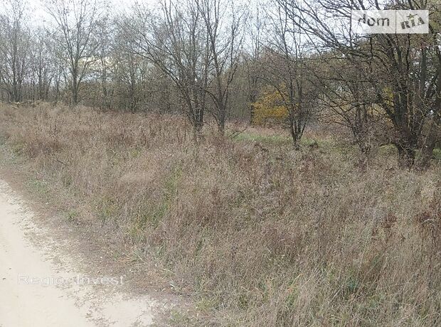 Земля под жилую застройку в селе Михайловка-Рубежовка, площадь 40 соток фото 1 Земля под жилую застройку в селе Михайловка-Рубежовка, площадь 40 соток фото 1