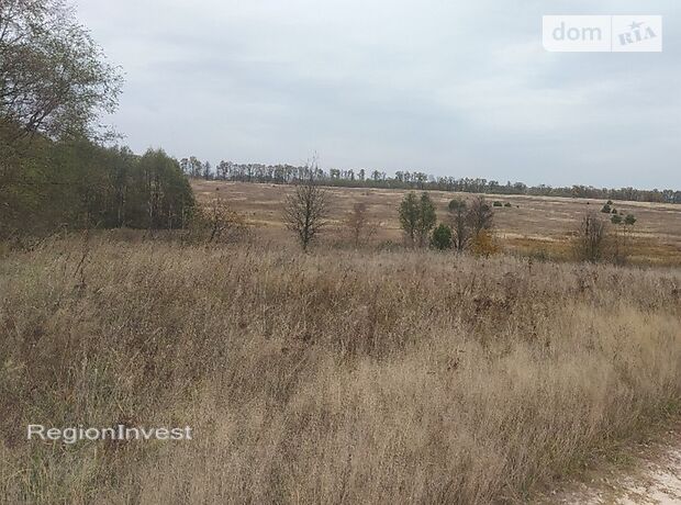 Земля под жилую застройку в селе Михайловка-Рубежовка, площадь 12 соток фото 1 Земля под жилую застройку в селе Михайловка-Рубежовка, площадь 12 соток фото 1