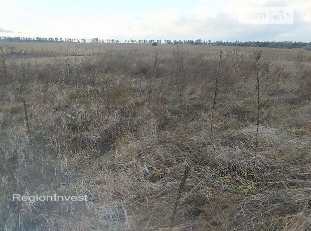 Земля под жилую застройку в селе Михайловка-Рубежовка, площадь 20 соток фото 1 Земля под жилую застройку в селе Михайловка-Рубежовка, площадь 20 соток фото 1
