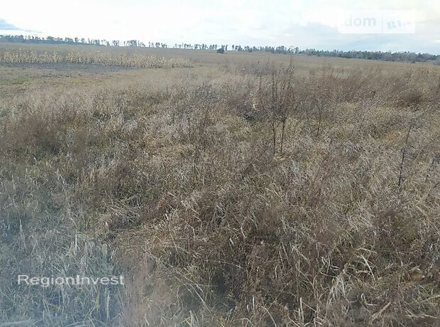 Земля под жилую застройку в селе Михайловка-Рубежовка, площадь 20 соток фото 1