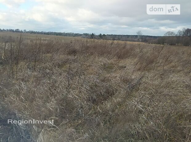 Земля под жилую застройку в селе Михайловка-Рубежовка, площадь 20 соток фото 1 Земля под жилую застройку в селе Михайловка-Рубежовка, площадь 20 соток фото 1