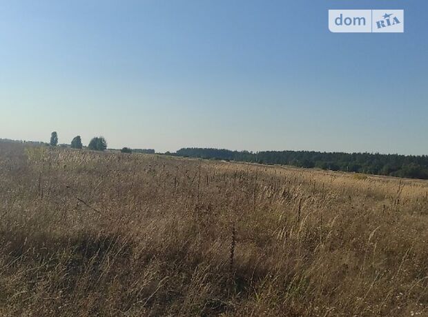 Земля под жилую застройку в селе Михайловка-Рубежовка, площадь 15 соток фото 1 Земля под жилую застройку в селе Михайловка-Рубежовка, площадь 15 соток фото 1
