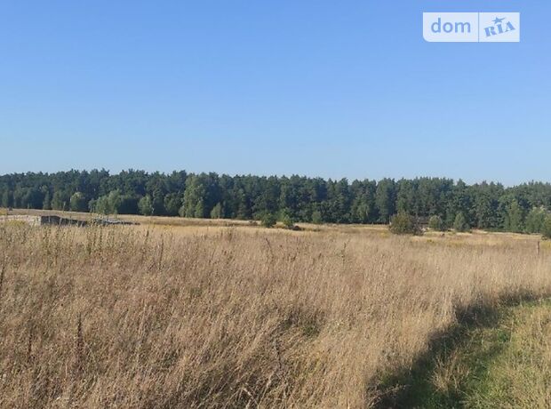 Земля под жилую застройку в селе Михайловка-Рубежовка, площадь 15 соток фото 1 Земля под жилую застройку в селе Михайловка-Рубежовка, площадь 15 соток фото 1