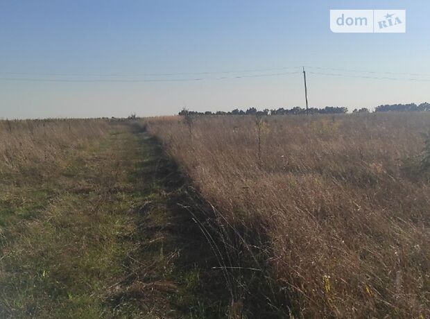 Земля под жилую застройку в селе Михайловка-Рубежовка, площадь 15 соток фото 1 Земля под жилую застройку в селе Михайловка-Рубежовка, площадь 15 соток фото 1