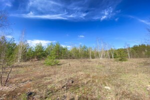 Земельна ділянка під житлову забудову в Ірпені, площа 12 соток фото 2