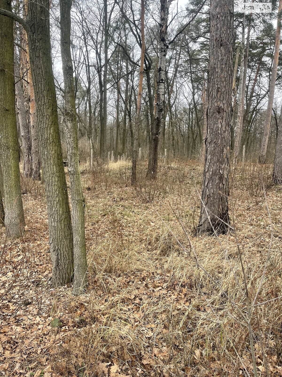 Земля під житлову забудову в Ірпені, район Романівка, площа 6 соток фото 1