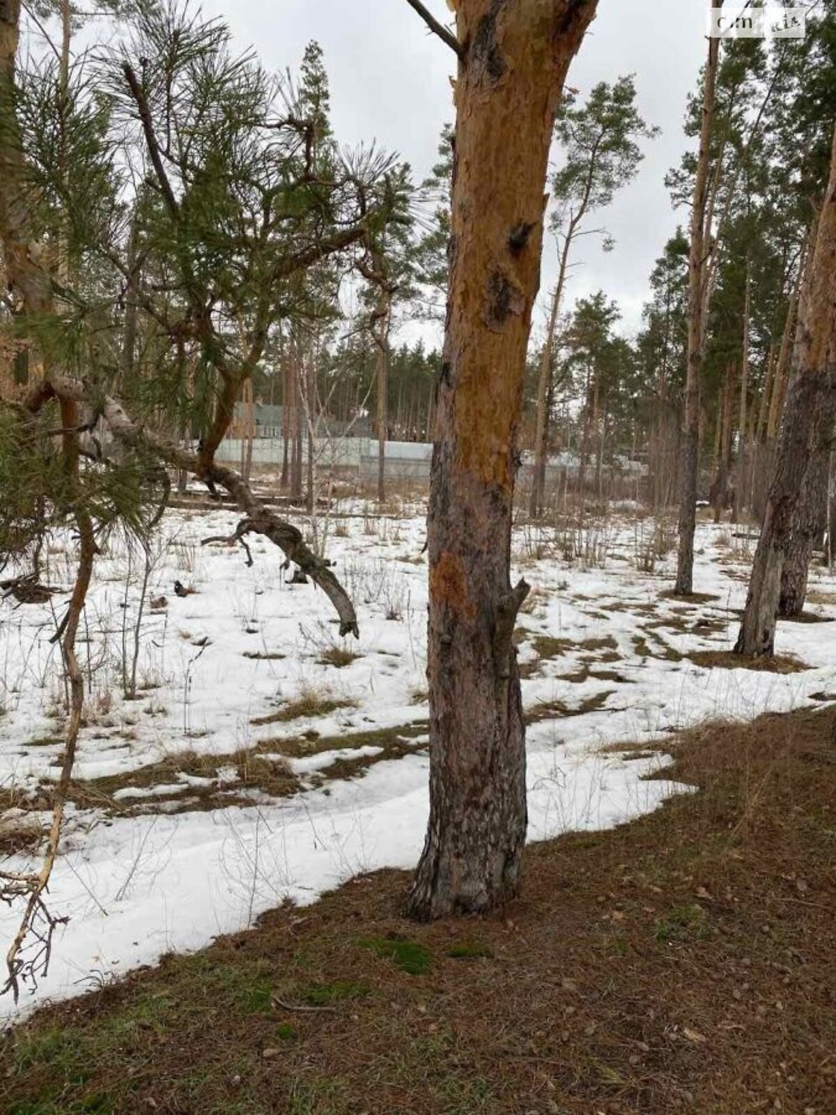 Земля под жилую застройку в Ирпене, район Ирпень, площадь 10 соток фото 1