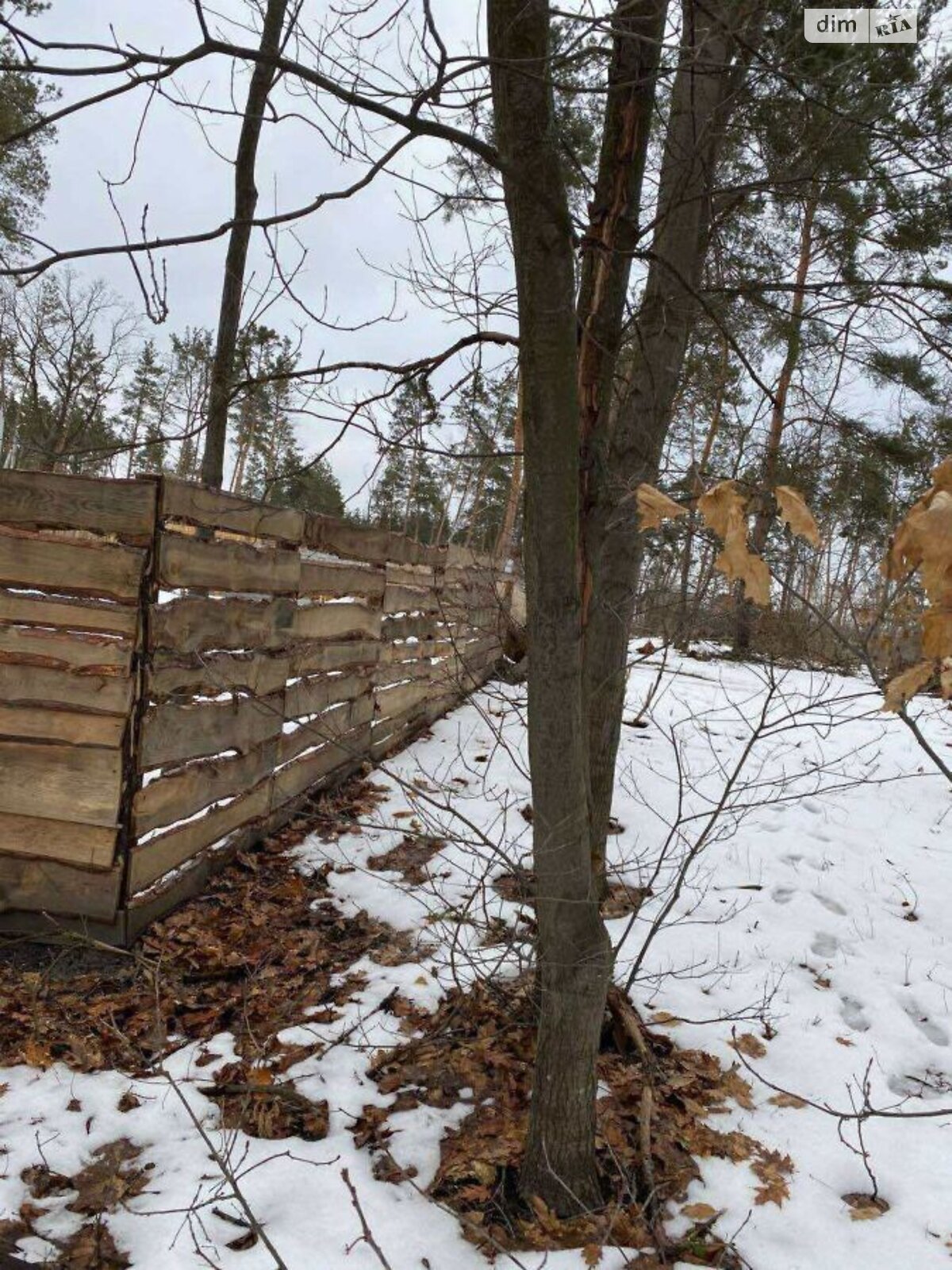 Земля під житлову забудову в Ірпені, район Ірпінь, площа 10 соток фото 1