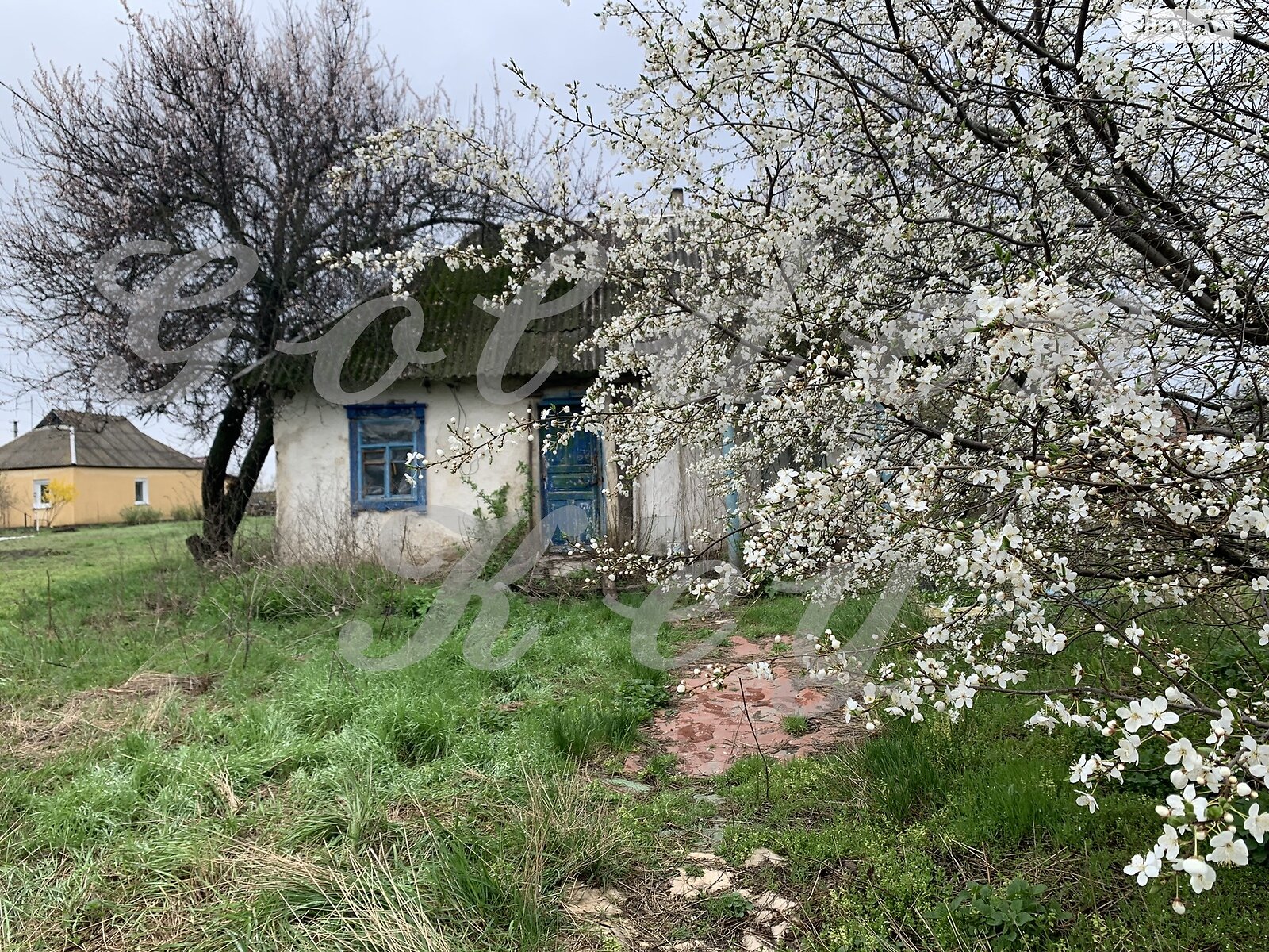 Земельный участок под жилую застройку в Иванкове, площадь 18 соток фото 1