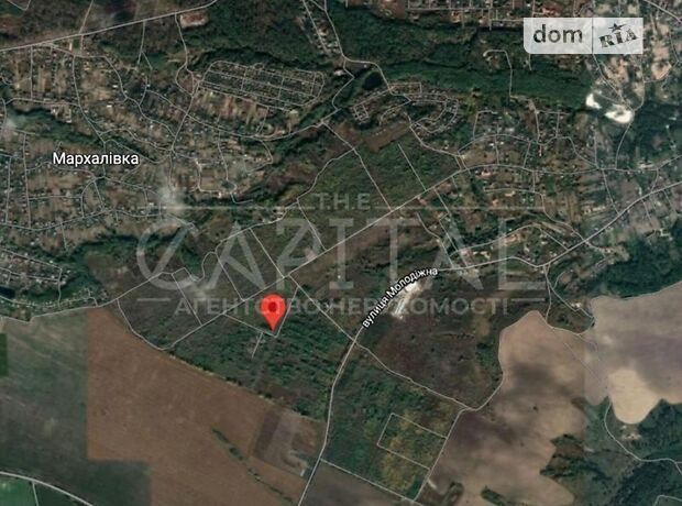 Земля под жилую застройку в Иванкове, район Иванков, площадь 48 соток фото 1 Земля под жилую застройку в Иванкове, район Иванков, площадь 48 соток фото 1