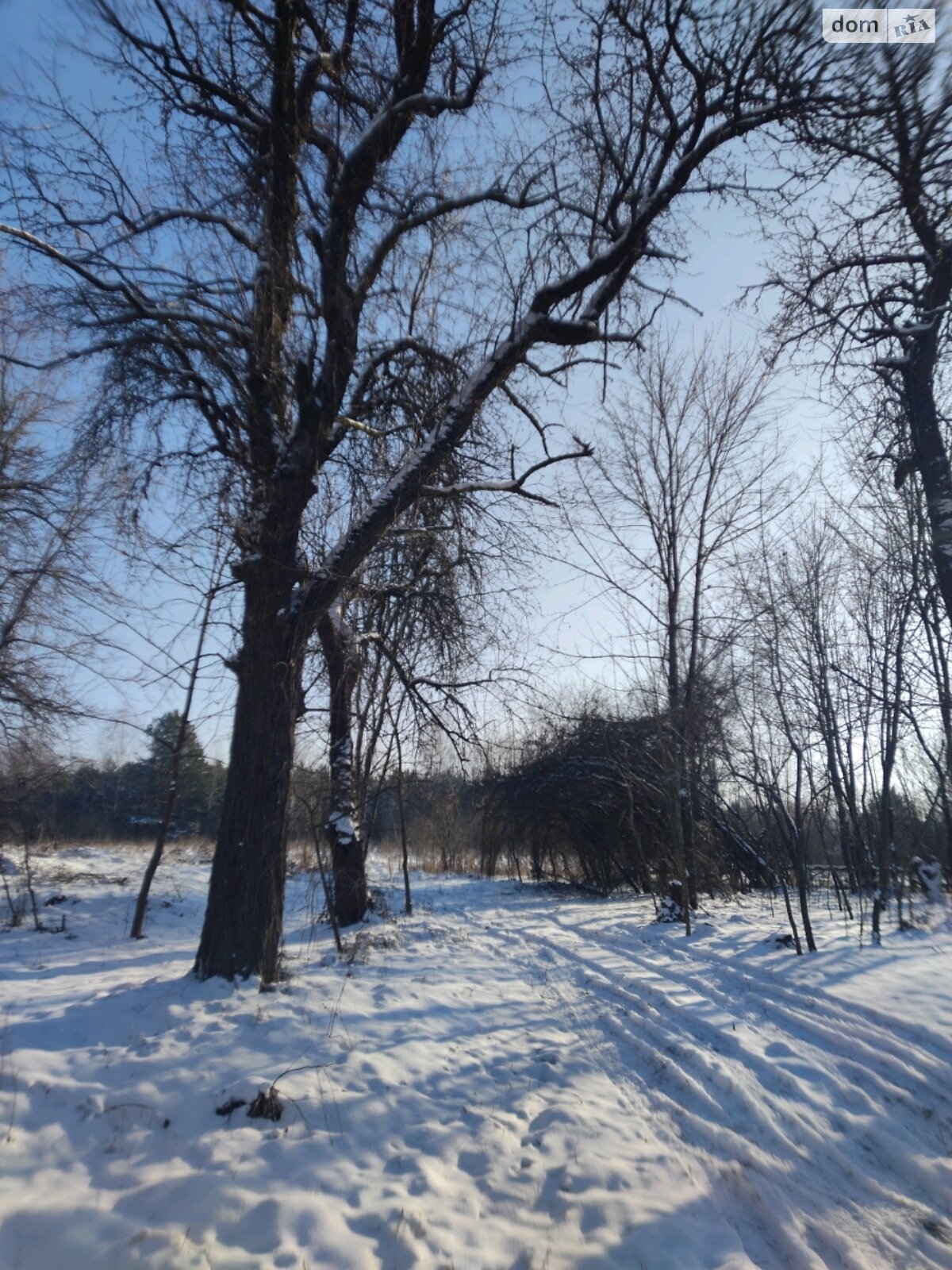 Земельный участок под жилую застройку в Термаховке, площадь 80 соток фото 1