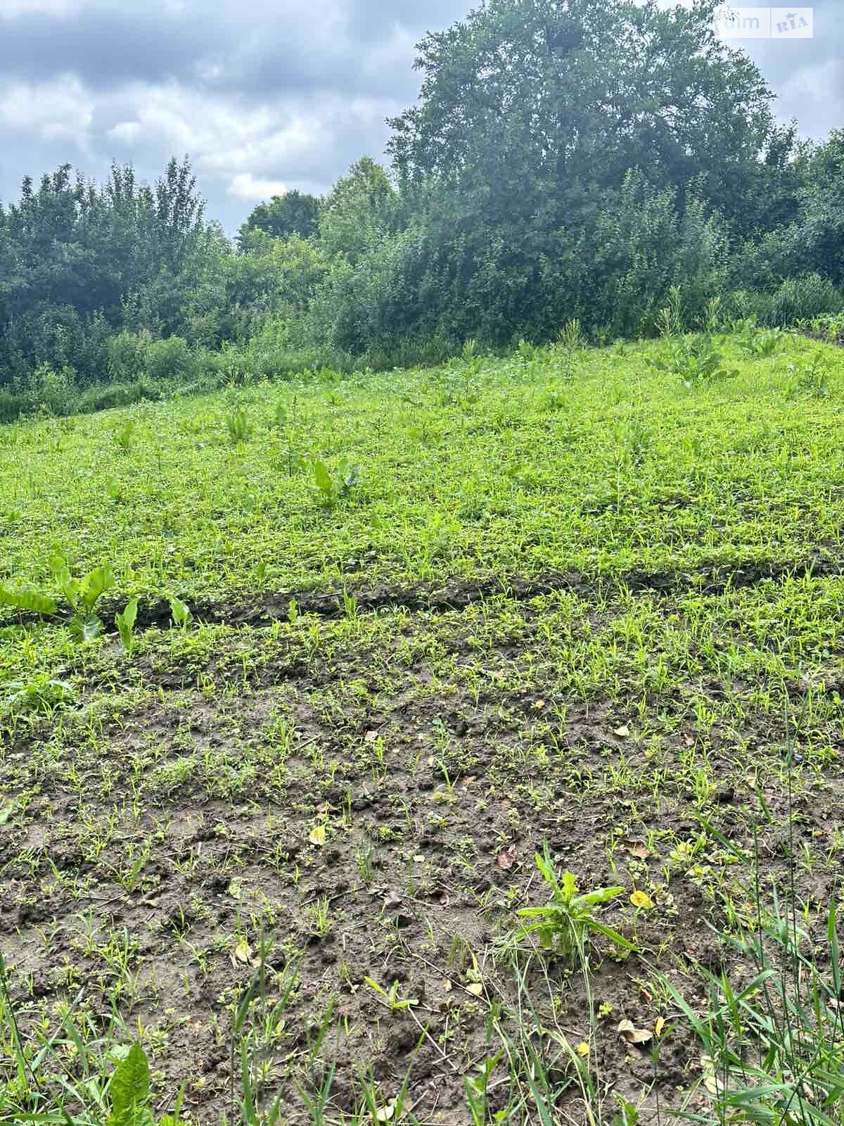 Земельный участок под жилую застройку в Иванковичах, площадь 30 соток фото 1 Земельный участок под жилую застройку в Иванковичах, площадь 30 соток фото 1